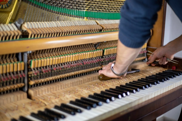 AM Piano Repair and Tuning Service's other services
